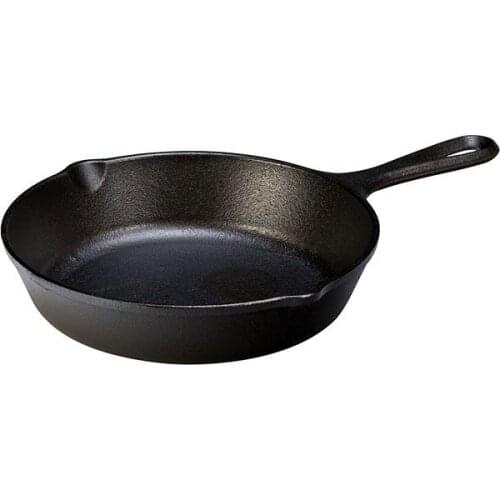 Lodge Cast Iron Pans