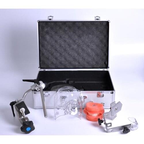 Dental Oral Simulation Simple Head Model System dental Practice Adjustable tooth removal oral model