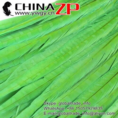 CHINAZP Factory Exporting 100pcs/lot 30-35cm Professional wholesale Lime green Dyed Ringneck Pheasant Tail Feathers