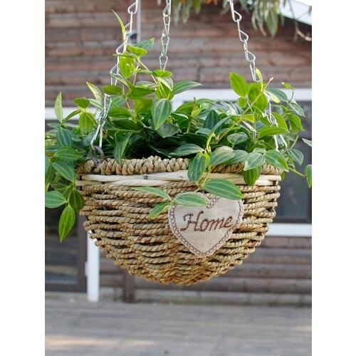 Zq Chlorophytum Comosum Flower Pot Hanging Hanging Automatic Water Feeding Plastic Personality Living Room Large