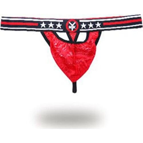 Gay Mens Thongs and Jockstraps Sexy Man Thongs Men Underwear Sexy Thong Brand Clothing Nylon Lace Mens Panties Underwear