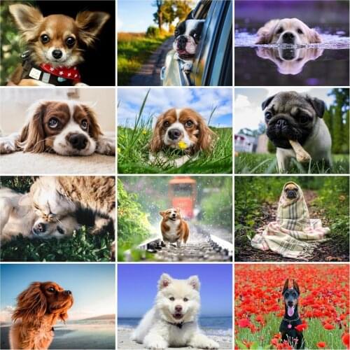 AZQSD Dogs Animals DIY Painting By Numbers Wall Art Paint On Canvas Oil Painting Puppy Landscape Home Decor Frameless 50x40cm