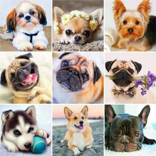 Huacan 5D Diamond Painting Full Square Dog Diamond Embroidery Mosaic Animals Picture Rhinestones Handmade Gift Wall Art