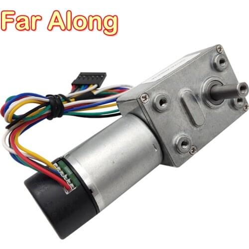 6V 12V 24V DC Electric Worm Geared Motor With Encoder High Torque In DC Motor 6-150RPM Self Locking Dustproof With Back Cover
