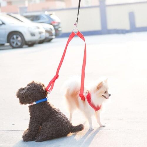 2 In 1 Dog Leash Double Walking Leashes Couple 2 Way V Shape Collar Lead Leashes For Two Dogs Pet Accessories Supplies