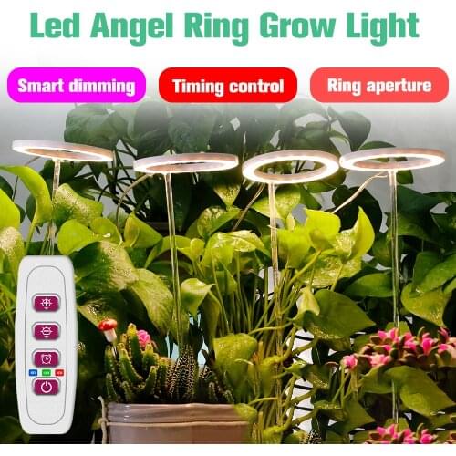 Vai avanti LED Plant Lamps