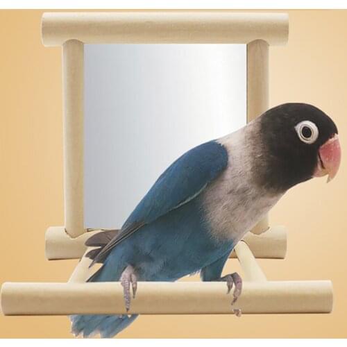 Bird Mirror With Perch, Bird Perch Mirror Toy Stand Bird Toy For Parrot Parakeets Cockatiels Cage