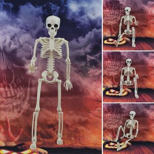 40cm Halloween Prop Skeleton Model Skeleton Skull Hand Lifelike Human Body Poseable Anatomy Model Party Festival Decor Props