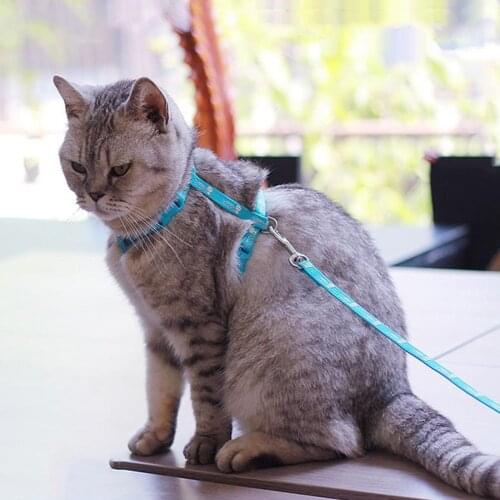 5 Colors Dog Cat Protective Anti-Escape Vest Harness Soft Adjustable Nylon Dog Pet Puppy Cat Adjustable Harness with Lead Leash