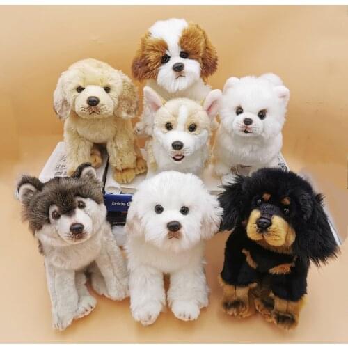 High Quality Lovely Simulation Maltese Schnauzer Dog Plush Toy Simulation Wolf Animal Stuffed Toy Childrens Toy Gift Home Decor