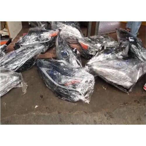 For Lexus ES NX RX Headlight Assembly