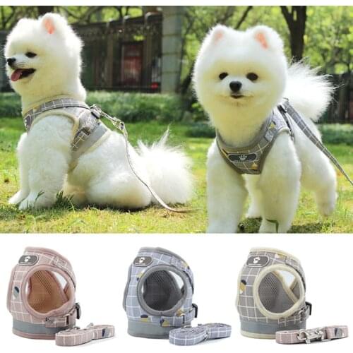 Fashion Plaid Cat Harnesses for Cats Summer Mesh Pet Harness and Leash Set Katten Kitty Mascotas Products for Gotas Accessories