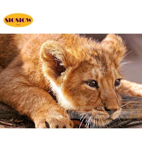 SIOSIOW Diamond Painting Lion Cross Stitch Diamond Art Embroidery Mosaic Sale Bead Picture Kits Handicraft Hobby Wall Decor