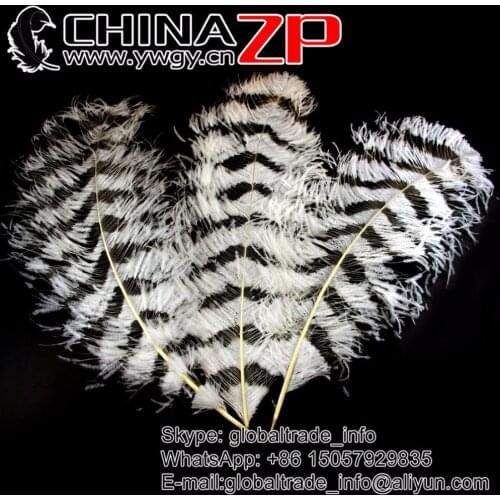 Free Shipping EMS/DHL/FEDEX CHINAZP Factory 50pcs/lot 70-75cm (28"-30") Length Unique Vogue Quality White Burnt Ostrich Feathers