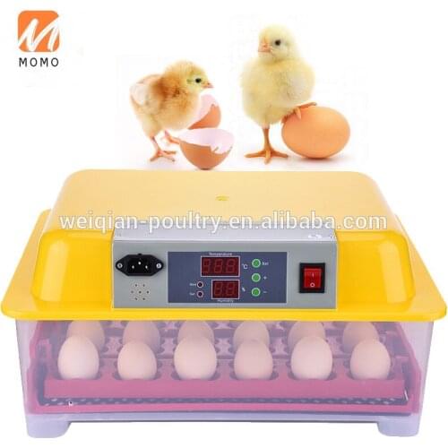 Hot selling cheap chicken egg incubator for sale 24 eggs incubator for sale WQ-24(12v)