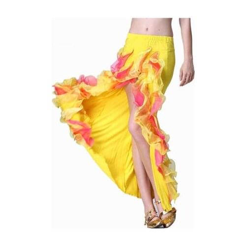 2017 new Belly Dancing Clothes Professional Long Skirt Indian Bollywood Bellydance Performance Wearing Clothing Side Slip