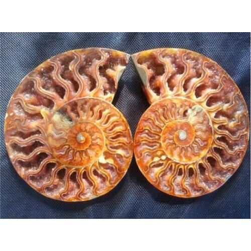 SUIRONG---412++++ 1 pairs of Split Ammonite Fossil Specimen Shell Healing Madagascar