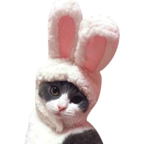 Costume Bunny Rabbit Hat with Ears for Cats & Small Dogs Party Costume Accessory Headwear