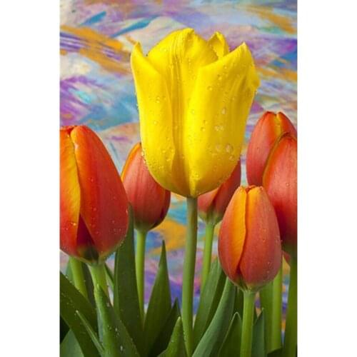 5D DIY diamond painting Orange red Flowers tulip Full Drill Embroidery Cross Stitch Mosaic Craft Kits Home Decor Christmas Gifts
