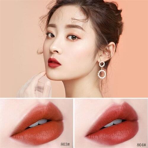 Make Up Lips Matte Liquid Lipstick Waterproof Long Lasting Glitter Style Lip Gloss Beauty Red Lip Tint