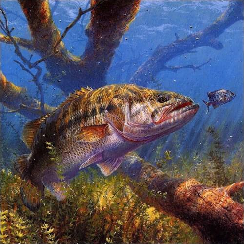 Diy diamond embroidery sea bass diamond painting cross-stitch animals fish home decoration full square rhinestone mosaic picture