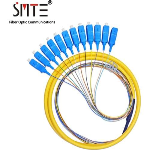 SMTE 12 Core Pigtail Fiber Optic UPC SC Patch Cord 0.9mm 1~2 Meters Cable ODF Fiber Jumper Simplex FTTH