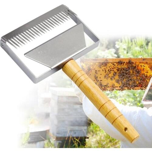 Stainless Steel Bee Honey Hive Uncapping Fork Scraper Shovel Beekeeping Cutter apiculture outils ensemble matériel apicole