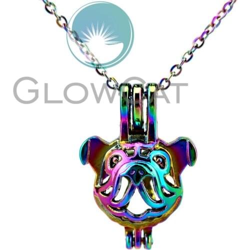 CC703 Lovely Rainbow Pet Dog Beads Cage Pendant Aromatherapy Essential Oil Diffuser Pearl Cage Locket Necklace