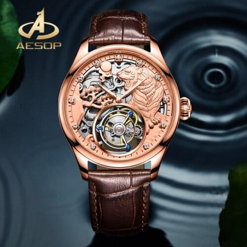AESOP Real Tourbillon Watch Fashion Luxury Mechanical Watch Sapphire Glass 316L Stainless Steel Case Watch Waterproof Men Watch