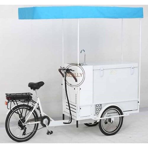 Mobile Ice Cream Tricycle with Water Sink Electric Cargo Bike Adult Food Cart for Sale