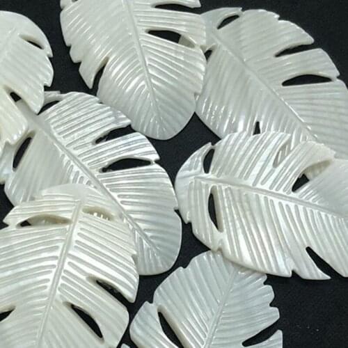 29x46MM 10Pcs 100% Natural Freshwater Shell Feather Leaf Earring Charms Necklace Beads DIY Jewelry Making Accessories