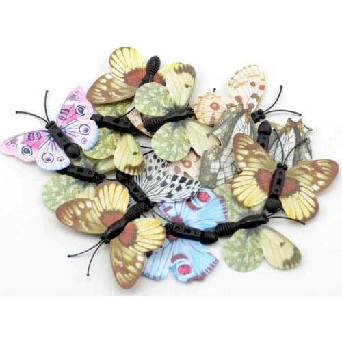 Nanairo Interior Decor Items