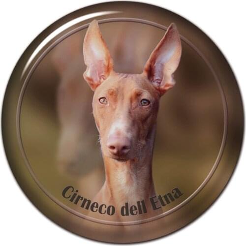 B0820# 13CM/17CM Self-Adhesive Decal Cirneco Dell Etna Dog Car Sticker Decors on Bumper Rear Window Laptop