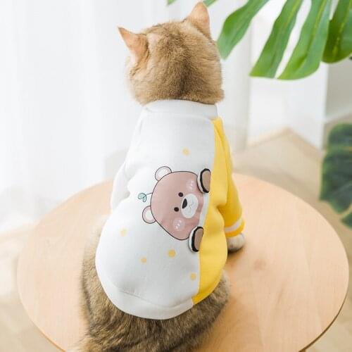 Pet Clothes Cat Hoodie Cute Cartoon Bear Sweater Dog Hoodie Spring Thin Velvet Cat Costume