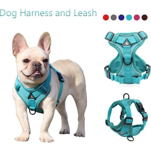 Wholesale Dog Traction Rope Vest Type Pet Chest Strap Adjustable Dog Harness No Pull Reflective Safety Dog Harness Leash Sets