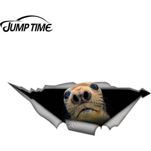 Jump Time 13cm x 4.8cm Harbor Seal decal Vinyl decal 3D Pet Graphic Vinyl Decal Car Window Laptop Bumper Animal Car Stickers