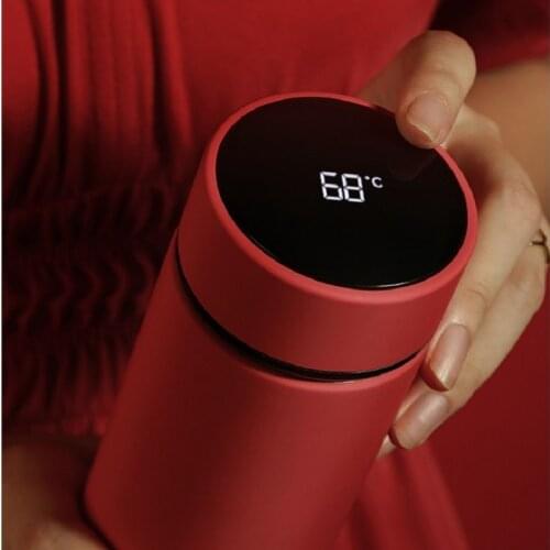 500ML Temperature Display Thermos Bottle Vacuum Flasks Thermoses for hot Water Thermal Mug With 316 Stainless Steel Inner Pot