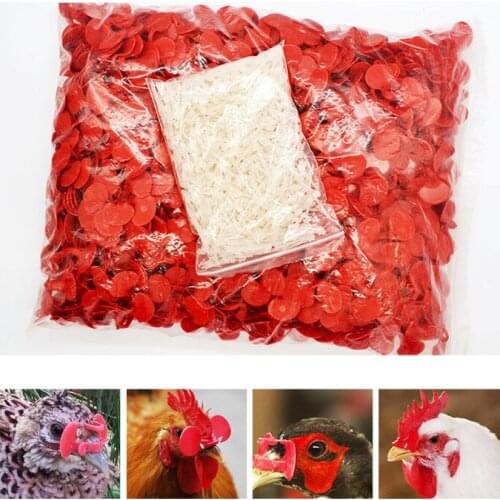 Komorebi 500 Products Chicken goggles Chicken tool Perforated Reuse Pheasant Pheasant glasses Chicken farming equipment