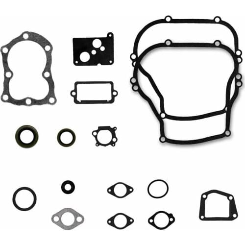 Complete Gasket Kit for Briggs & Stratton B&S 297616 496659 for 4HP & 5HP Vertical Engine Gasket Set