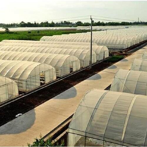 Greenhouse for vegetables, suitable for growing fruit trees, flowers