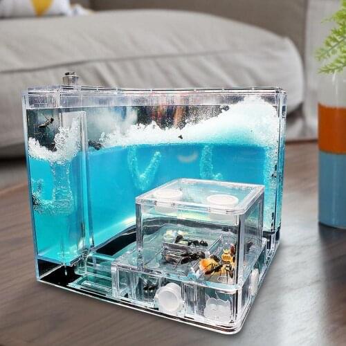 Ant Home Observation Maze Science Education Accessory expansion House Educational decor accessories Observed Toy