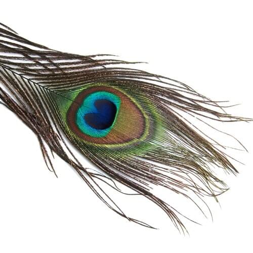 10 Pcs Peacock Eye Tail For Crafts Halloween Costume Mask Wedding Decor
