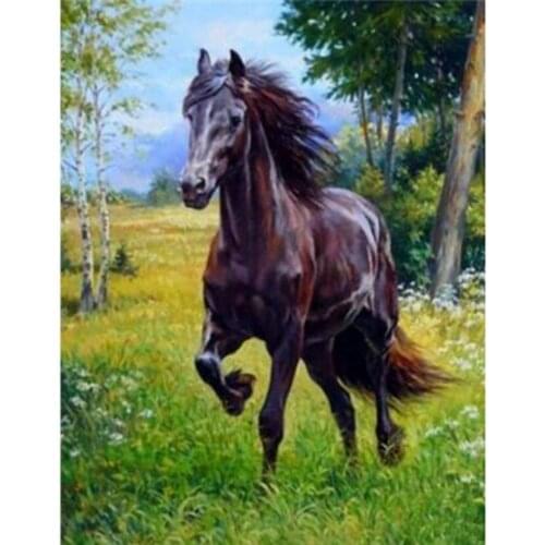 5D DIY Diamond Painting Square/Round Diamond Animal Painting Dark Horse Picture Cross Stitch Embroidery Decoration Art WG2984