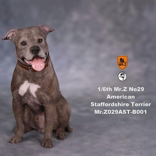 Mr.Z Pet Dog Model 1/6 scale No.29 American Staffordshire terrier Dog parts animal model toy For 12' action figure doll show