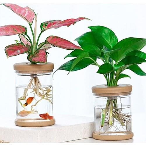 Plant Pots Lazy Transparent Flower Pot Transparent Pot Automatic Water-absorbing Flowerpot Imitation Glass