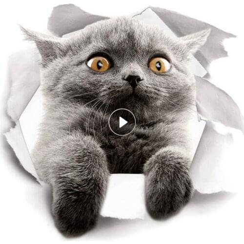 3D Lovely Cat Toilet Stickers Wall Stickers Home Decoration DIY Funny Cartoon Animal Wc Mural Art Vivid Kitten Puppy Safari PVC