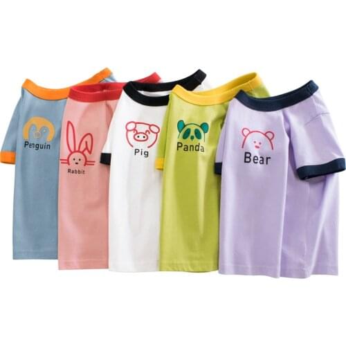 Kiddiezoom Short Sleeve T-shirts For Girls