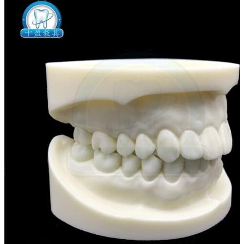 2pcs White corundum preparation teeth model detal practice tooth cavity porcelain mdoel