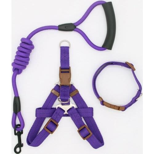 Nylon cat and dog leash, running leashes, collars and training harness