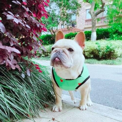 Cotton Pet Dog Cooling Vest Summer Green Dog Tshirt For Small Medium Dogs Love Me Print French Bulldog Pug Costume PDC0071